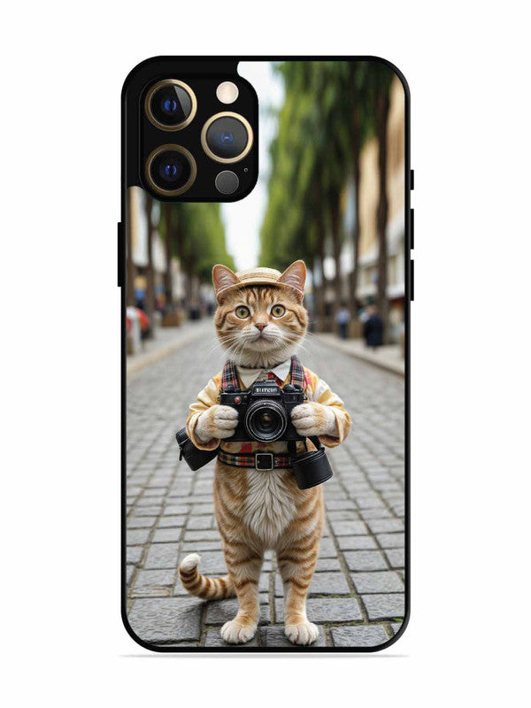 iPhone 12 Pro Max Cat as Cameraman