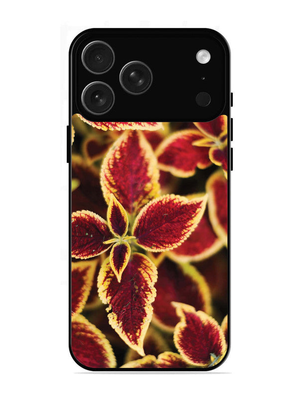 iPhone 17 Pro Autumn Blaze