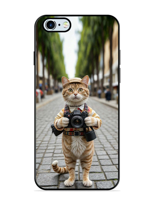 iPhone 6 Cat as Cameraman
