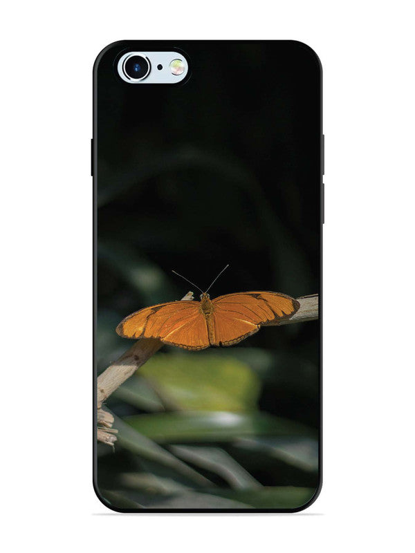 iPhone 6 Beautiful Butterfly