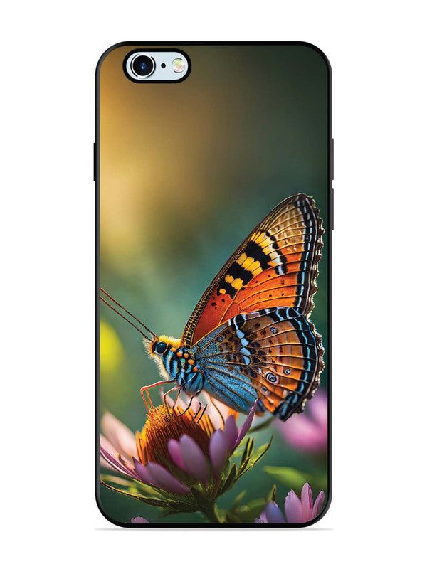 iPhone 6 Plus Golden Hour Monarch Butterfly