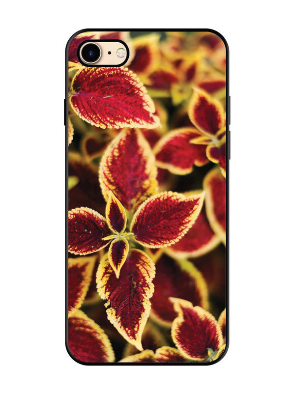 iPhone 7 Autumn Blaze