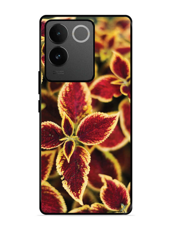 iQoo Z7 Pro 5G Autumn Blaze