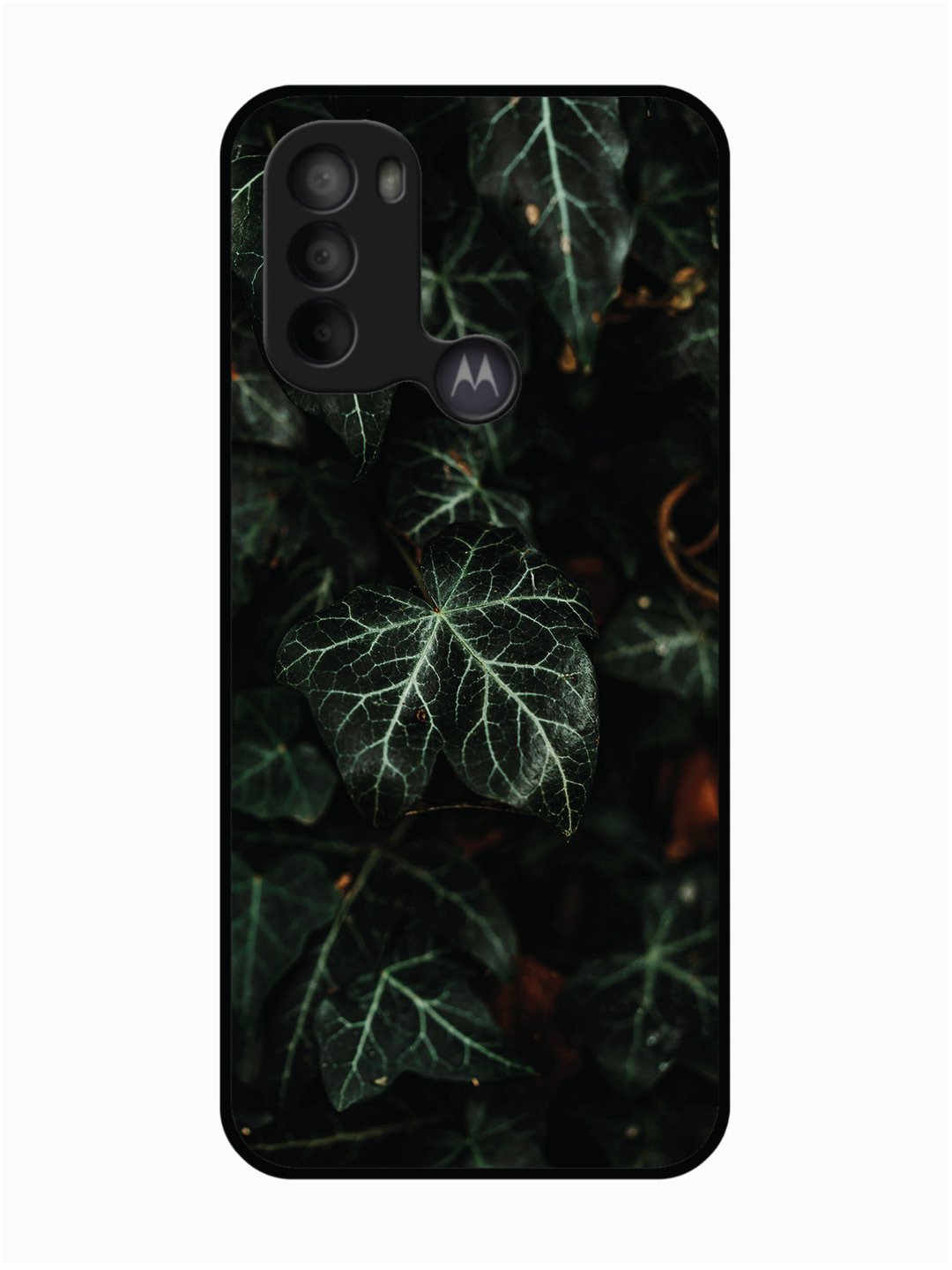 Motorola Moto G31 Betel Leafs
