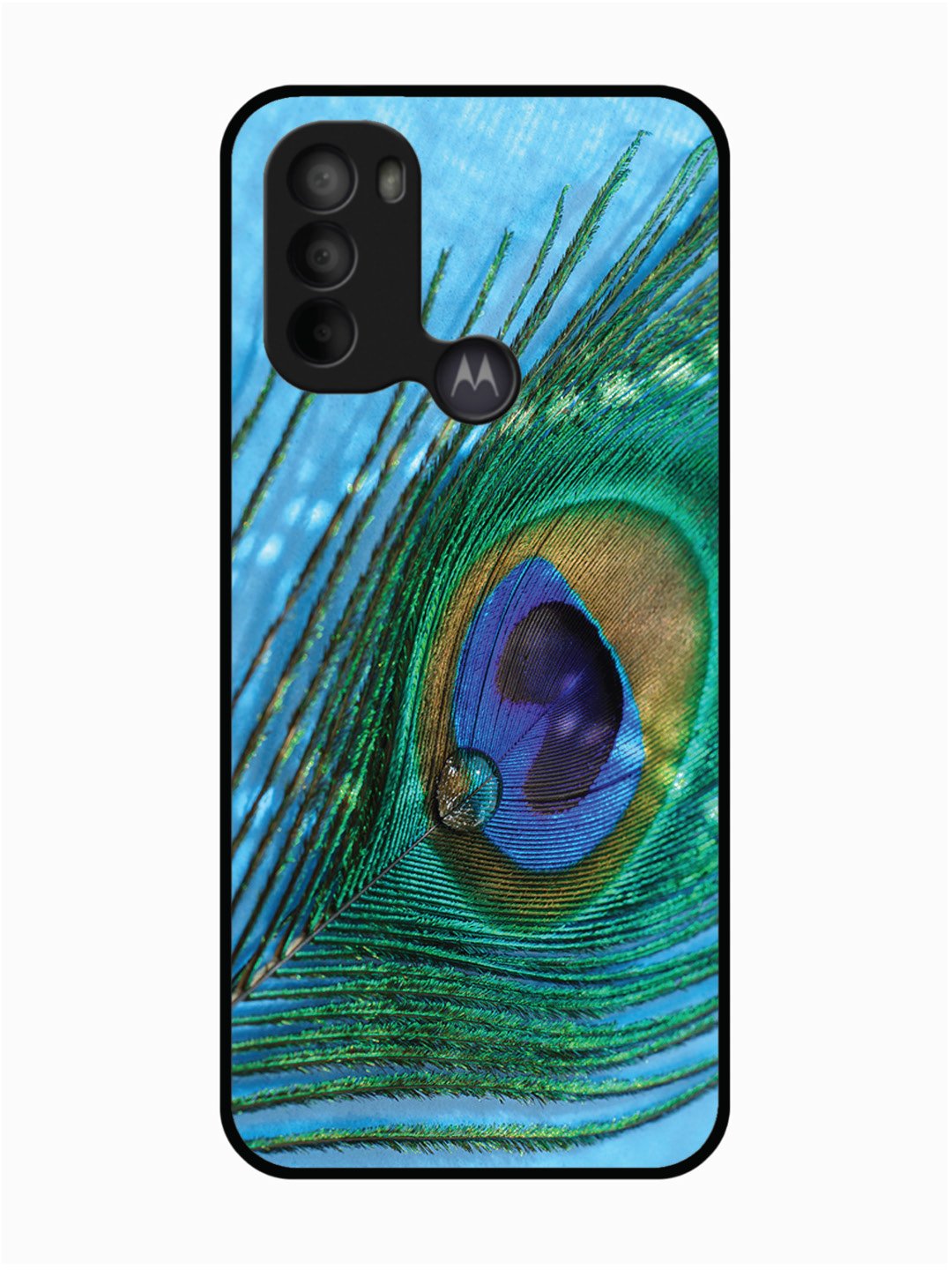 Motorola Moto G31 A drop on Peacock Feather