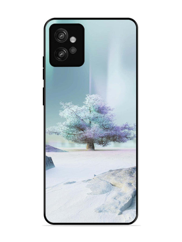 Motorola Moto G32 Tree on lceland