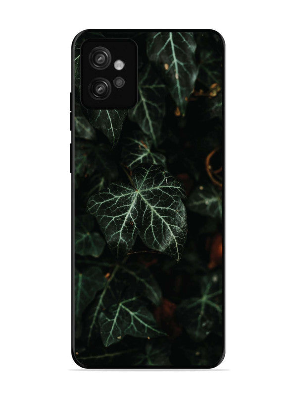Motorola Moto G32 Betel Leafs