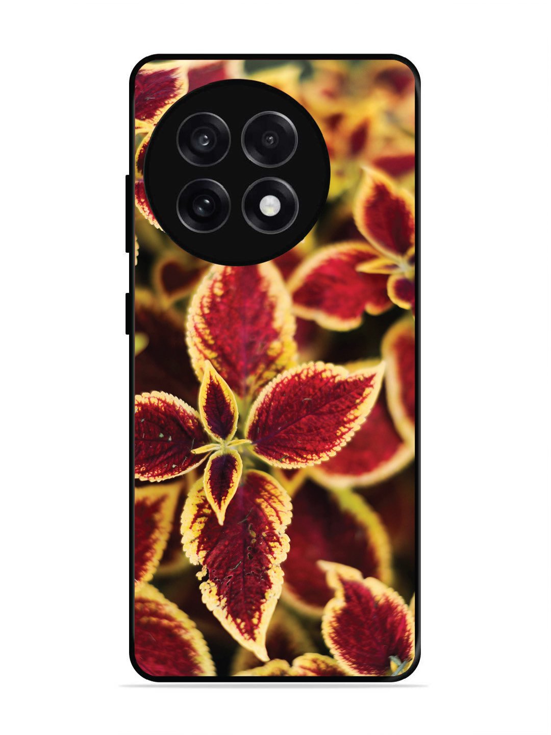 OnePlus 13R Autumn Blaze