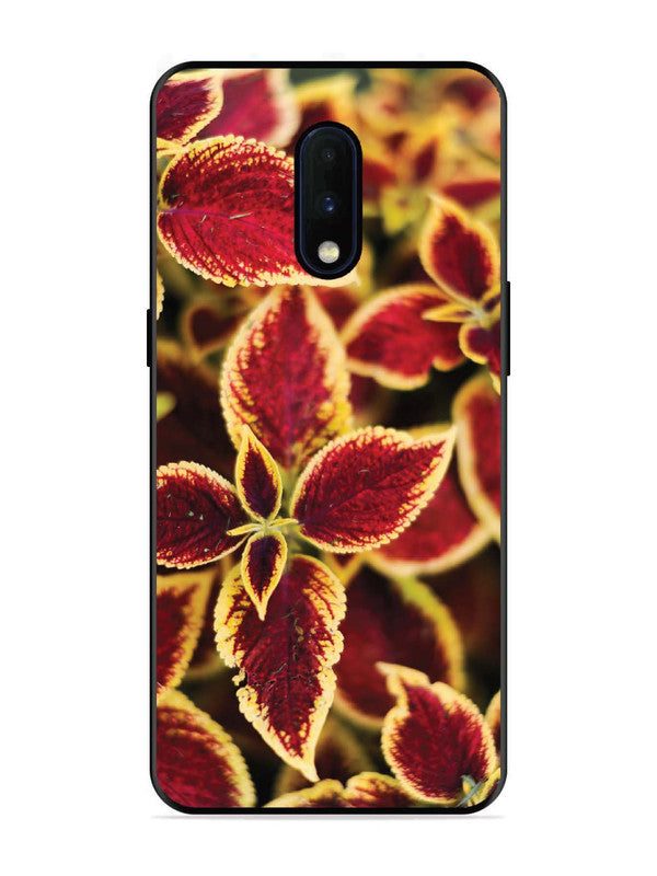 OnePlus 6T Autumn Blaze
