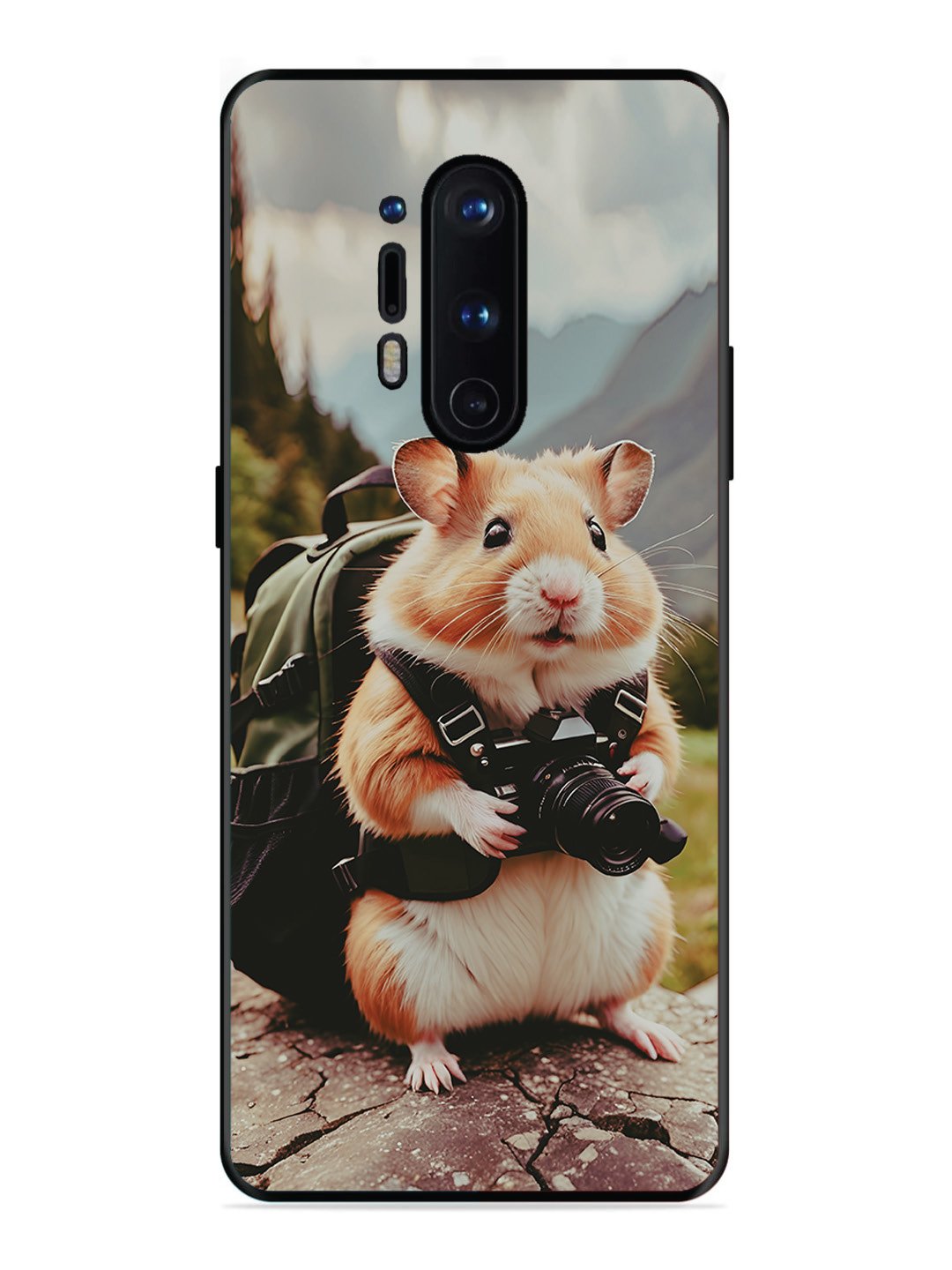 OnePlus 8 Pro Camera Squirrel