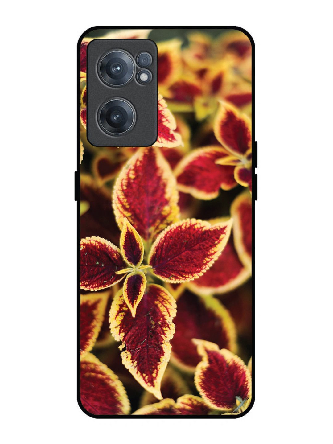 OnePlus Nord CE 2 5G Autumn Blaze