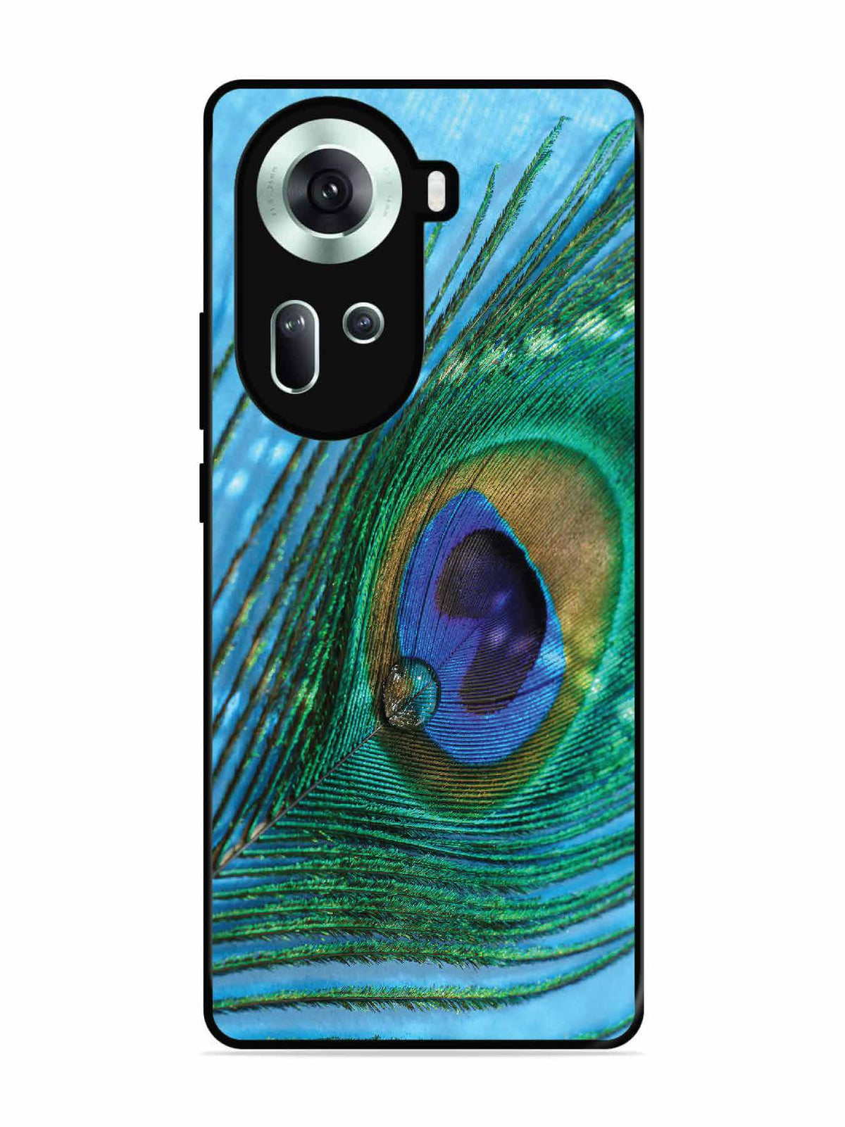 Oppo RENO 11 5G A drop on Peacock Feather