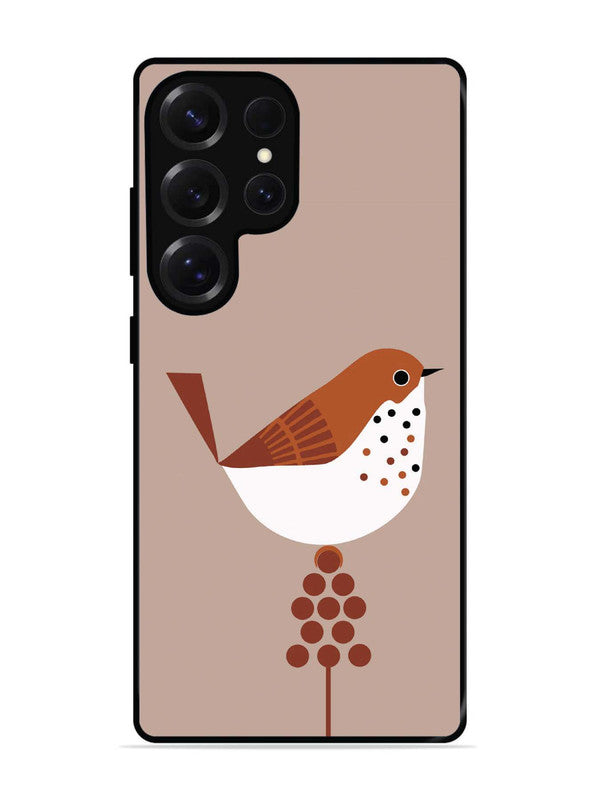 Samsung Galaxy S25 Ultra Sparrow