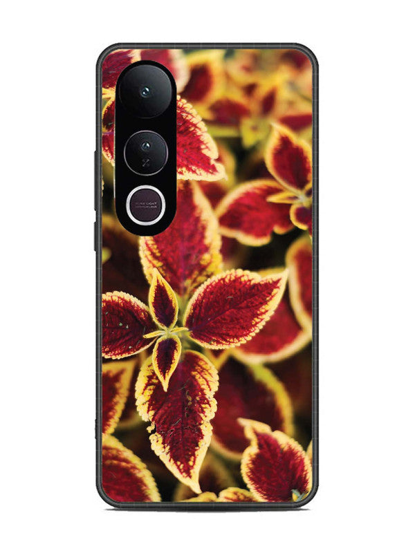 Vivo V50 Lite Autumn Blaze