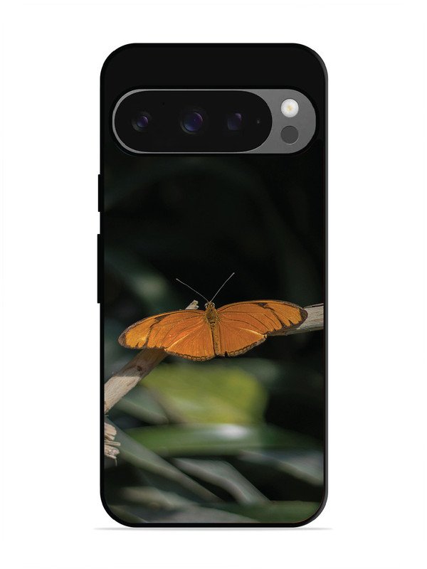 Google Pixel 9 Beautiful Butterfly