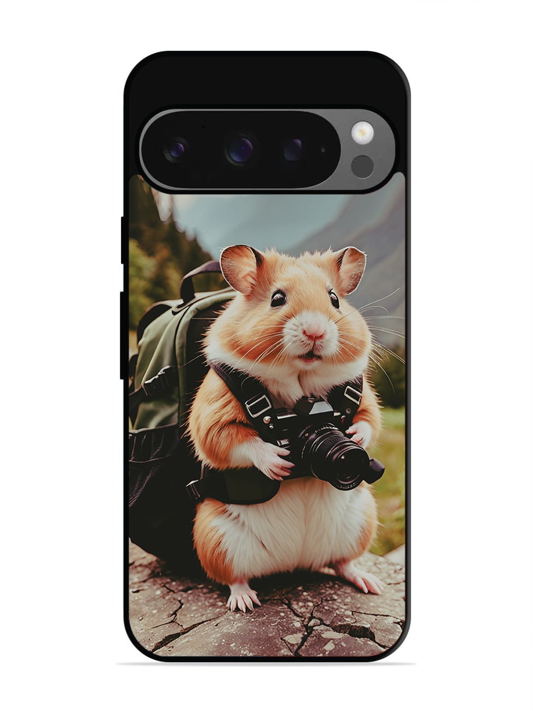 Google Pixel 9 Pro Camera Squirrel