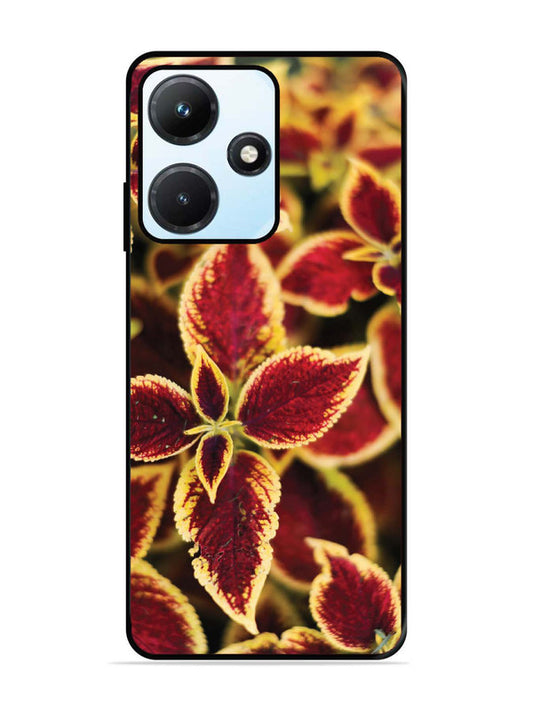 Infinix Hot 30i Autumn Blaze
