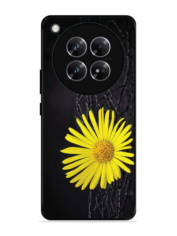 Infinix Zero 40 5G Sunflower on Fansing