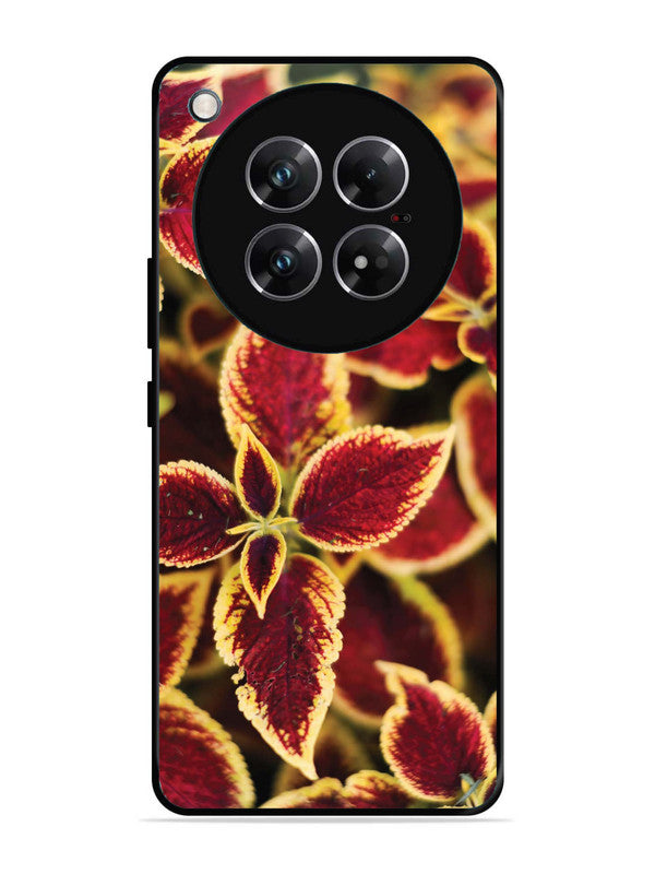 Infinix Zero 40 5G Autumn Blaze