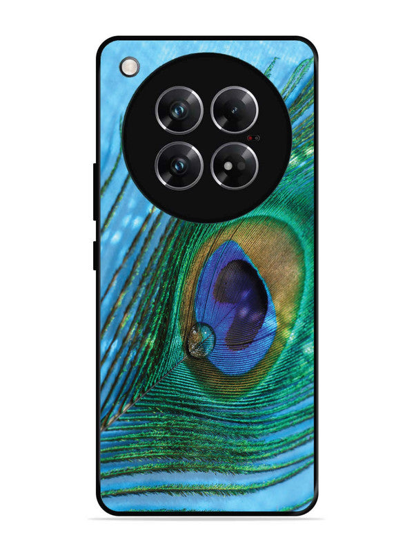 Infinix Zero 40 5G A drop on Peacock Feather