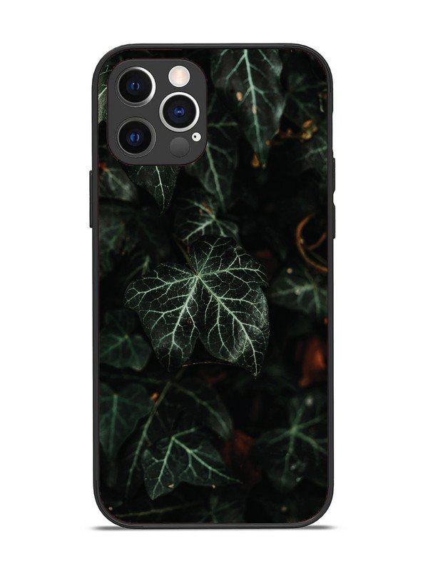 iPhone 12 Pro Betel Leafs