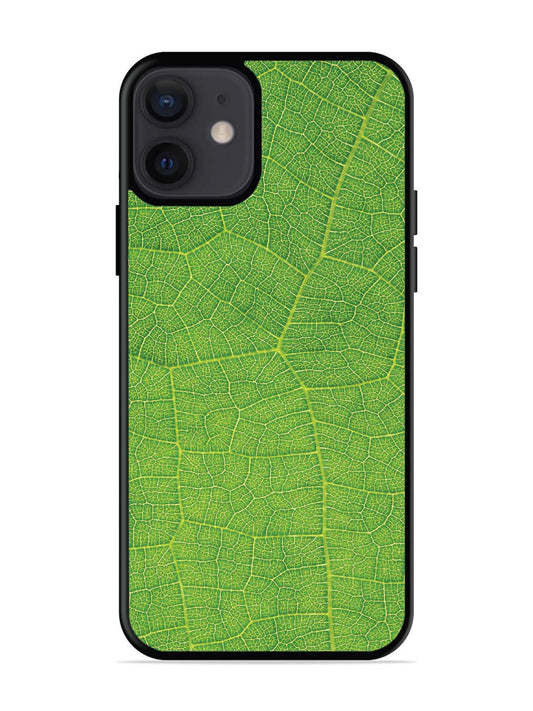 iPhone 12 Mini Leaf vins