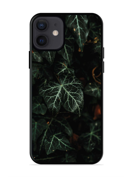 iPhone 12 Mini Betel Leafs