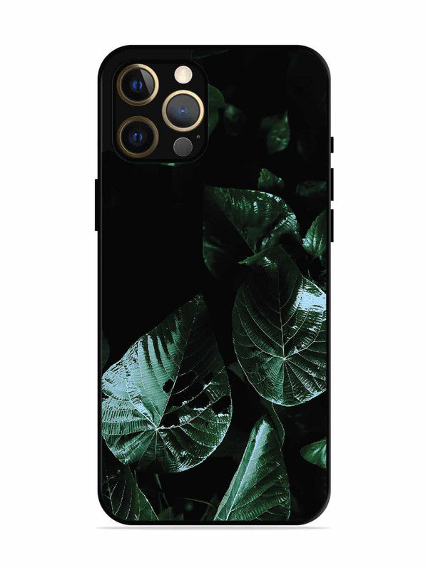 iPhone 12 Pro Max Leafs at night