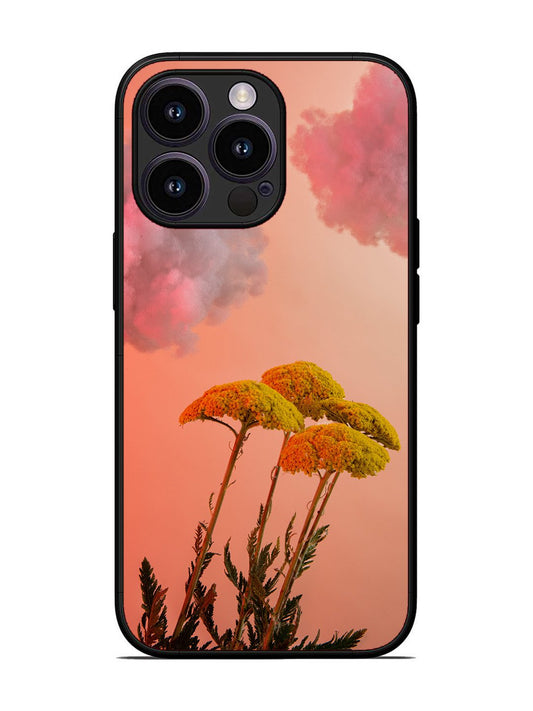 iPhone 14 Pro Floral Sunset Blossom Sky