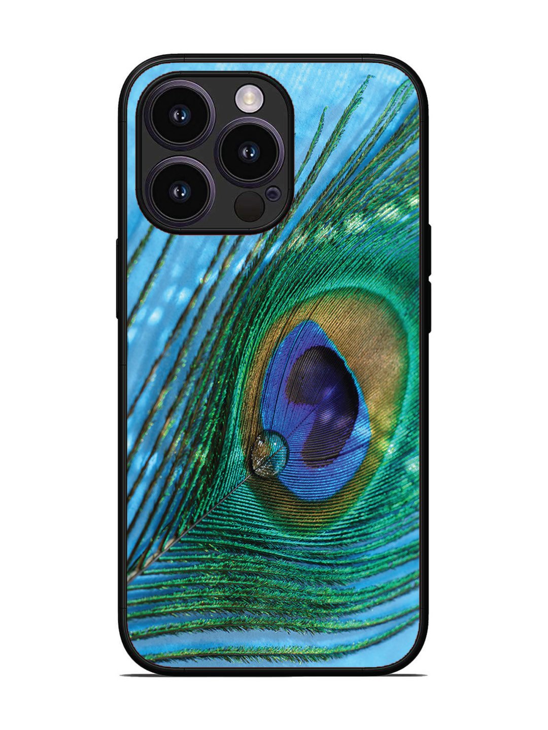 iPhone 13 Pro A drop on Peacock Feather