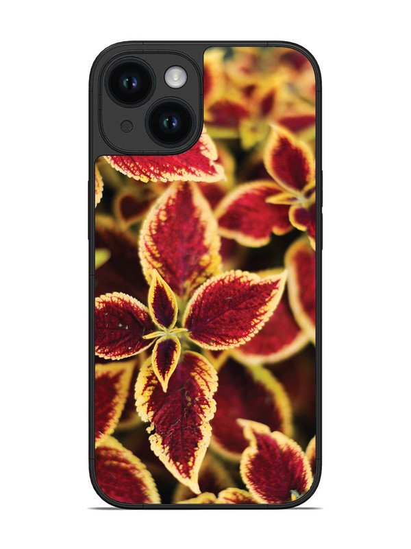 iPhone 15 Autumn Blaze