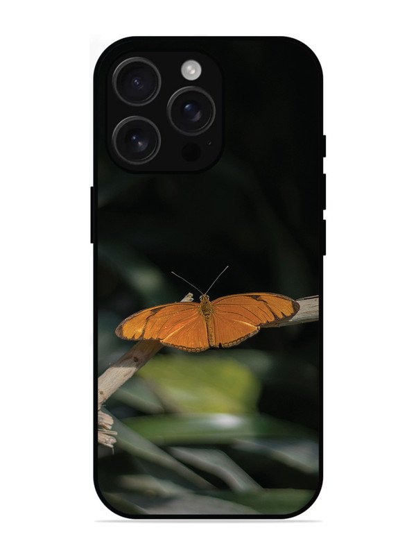 iPhone 16 Pro Max Beautiful Butterfly