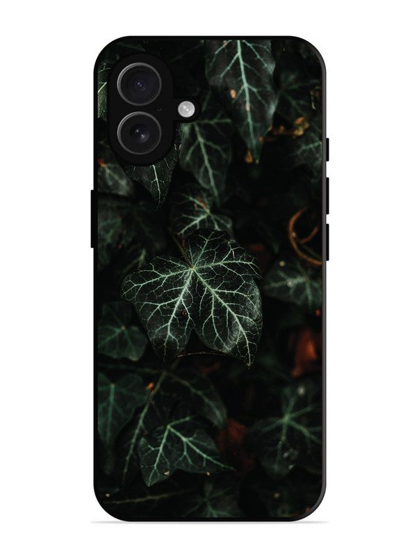 iPhone 16 Plus Betel Leafs