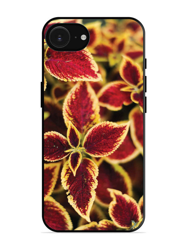 iPhone 16e Autumn Blaze
