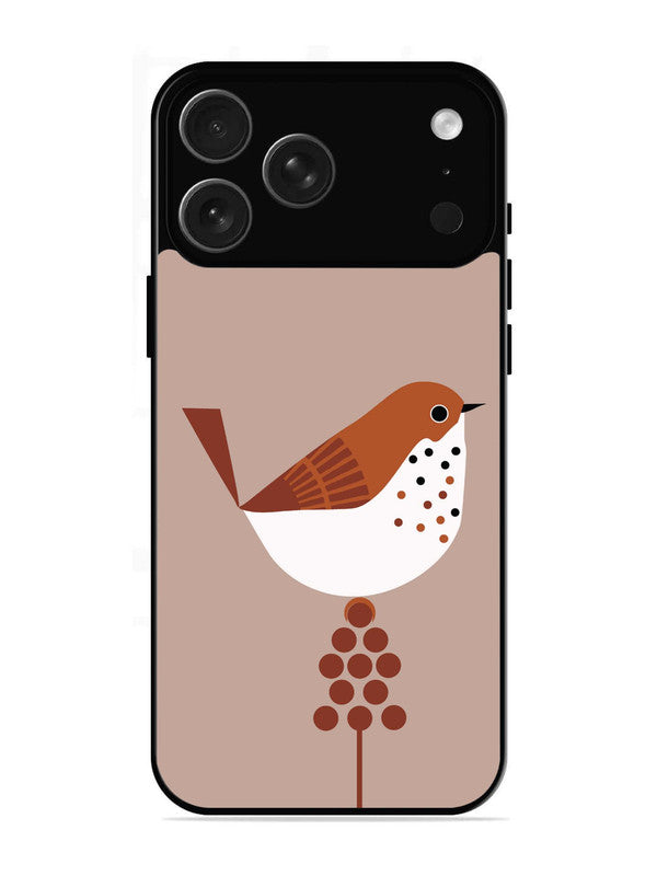 iPhone 17 Pro Sparrow
