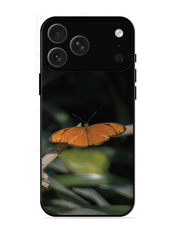 iPhone 17 Pro Beautiful Butterfly