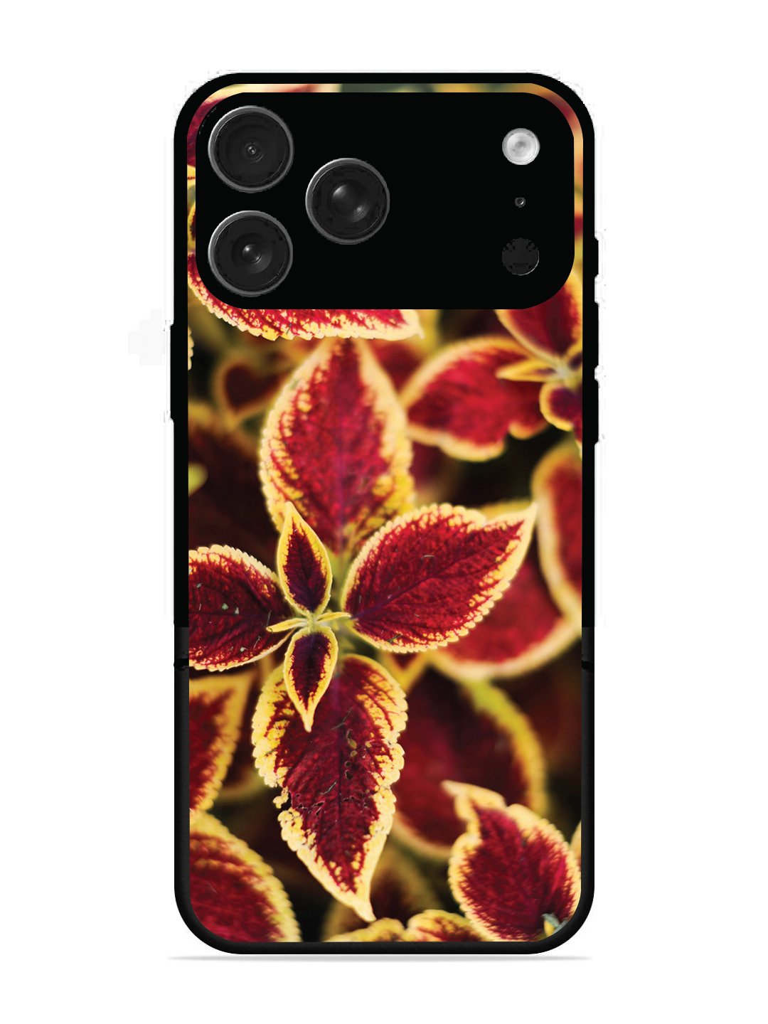 iPhone 17 Pro Max Autumn Blaze