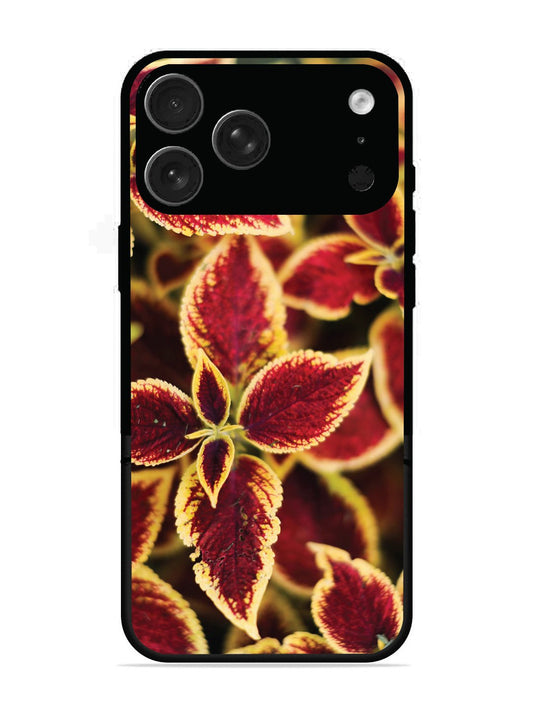 iPhone 17 Pro Max Autumn Blaze