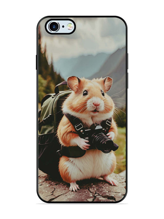 iPhone 6 Camera Squirrel