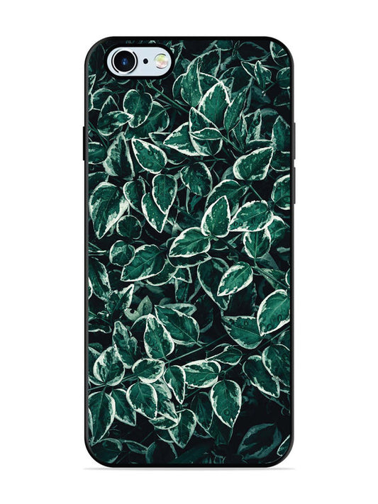 iPhone 6 Green Oasis Leafs
