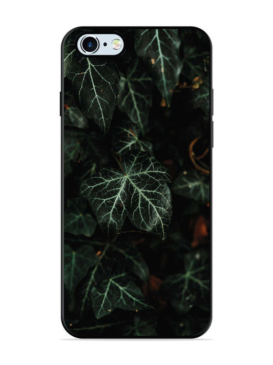 iPhone 6 Betel Leafs