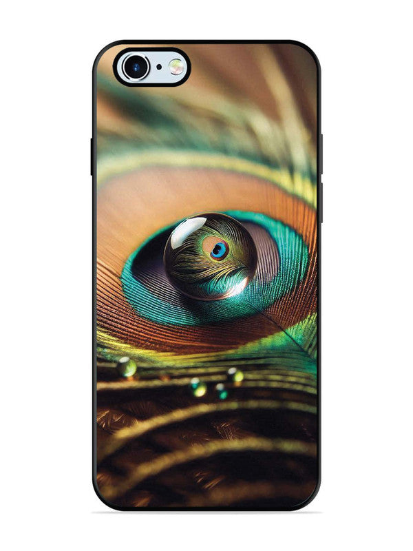 iPhone 6 Water Drop On Peacock Feather