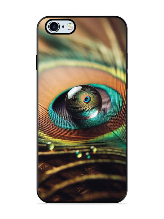 iPhone 6 Water Drop On Peacock Feather