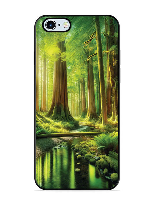 iPhone 6 Forest