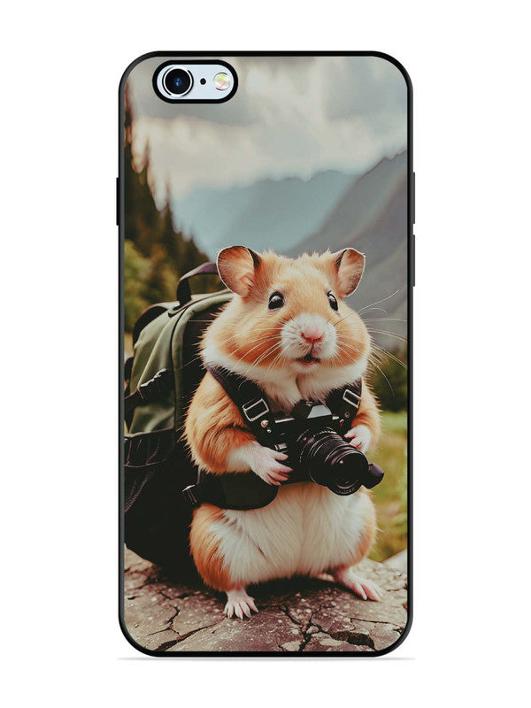 iPhone 6 Plus Camera Squirrel
