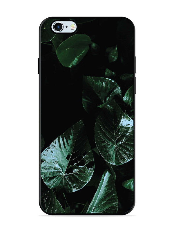 iPhone 6 Plus Leafs at night
