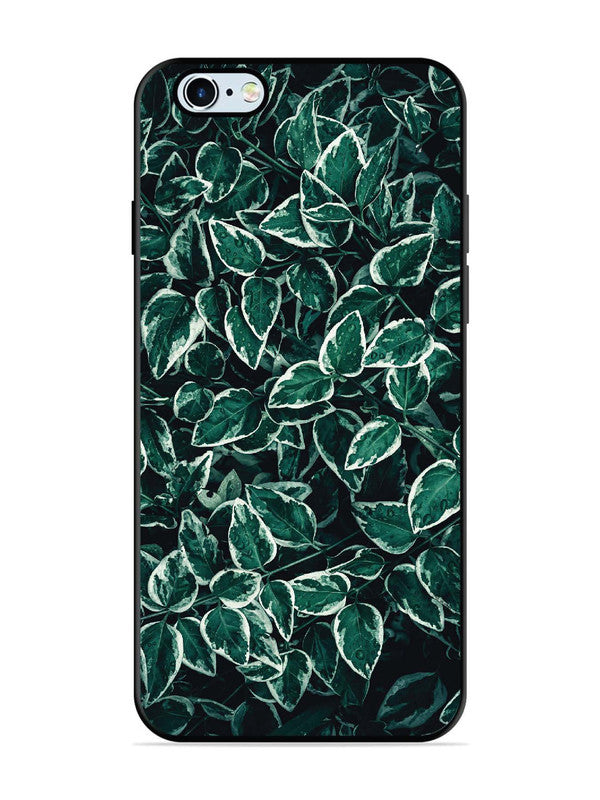 iPhone 6 Plus Green Oasis Leafs