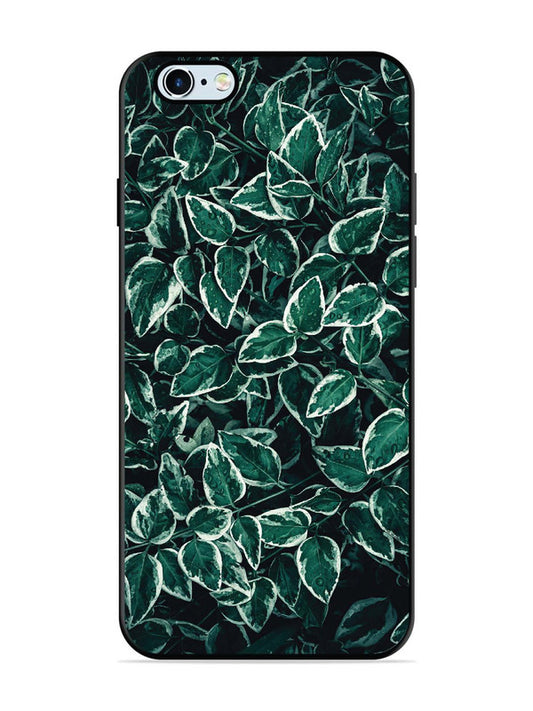 iPhone 6 Plus Green Oasis Leafs