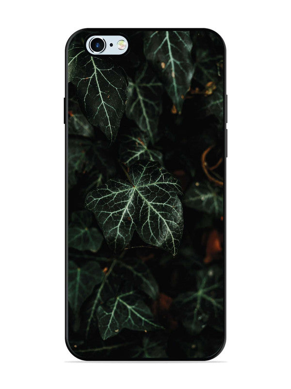 iPhone 6 Plus Betel Leafs