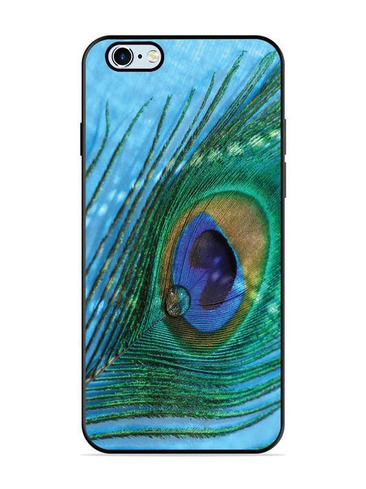 iPhone 6 Plus A drop on Peacock Feather